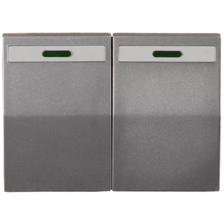 Выключатель СВЕТОЗАР &quot;ЭФФЕКТ&quot; двухклавишный, с эффектом свечения, без вставки и рамки, светло-серый металлик, 10A/~250B SV-54435-SM купить в Сургуте