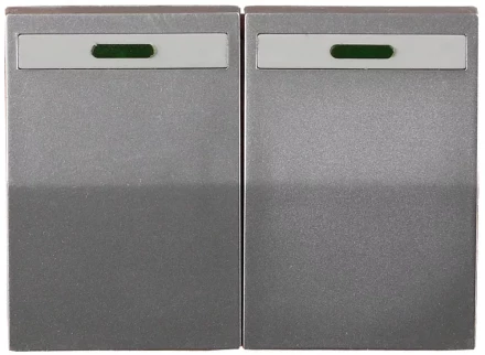 Выключатель СВЕТОЗАР &quot;ЭФФЕКТ&quot; двухклавишный, с эффектом свечения, без вставки и рамки, светло-серый металлик, 10A/~250B SV-54435-SM купить в Сургуте