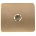Розетка СВЕТОЗАР &quot;ГАММА&quot; телевизионная, без вставки и рамки, цвет золотой металлик SV-54115-GM купить в Сургуте