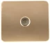 Розетка СВЕТОЗАР &quot;ГАММА&quot; телевизионная, без вставки и рамки, цвет золотой металлик SV-54115-GM купить в Сургуте