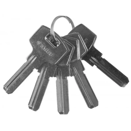 Заготовка ключа ЗУБР &quot;ЭКСПЕРТ&quot; для цилиндровых механизмов, компьютерный тип, 5 шт. 52196_z01 купить в Сургуте