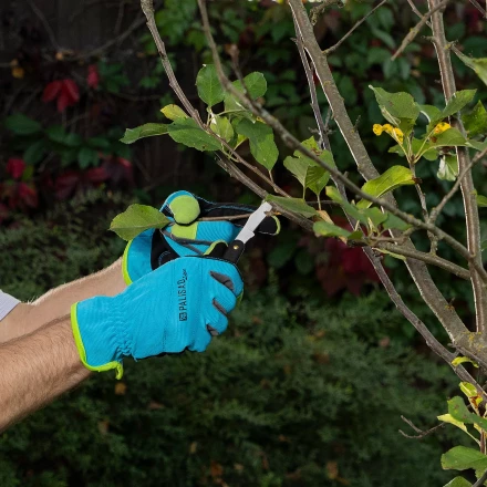 Нож садовый Palisad, 165 мм, складной, окулировочный, пластиковая рукоятка, 790547 купить в Сургуте