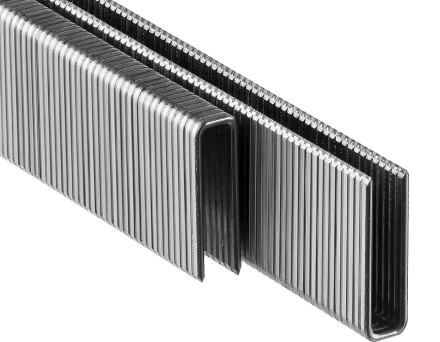 Скобы тип 55, 20 мм, особотвердые, ЗУБР &quot;ПРОФЕССИОНАЛ&quot; 31855-20, 2500 шт 31855-20 купить в Сургуте