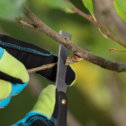 Нож садовый Palisad, 165 мм, складной, копулировочный, пластиковая рукоятка, 790557 купить в Сургуте