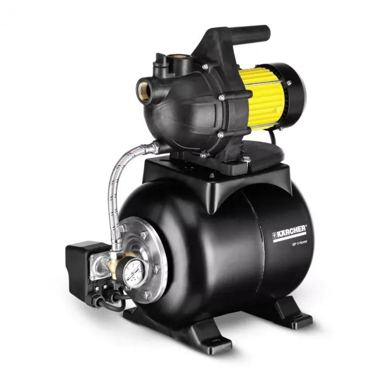 Поверхностный насос KARCHER BP 3 Home купить в Сургуте