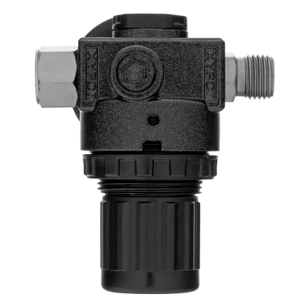 Регулятор давления с манометром Denzel R1500, 12 бар, 1/4&quot;, 57491 купить в Сургуте