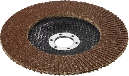 Круг шлифовальный STAYER &quot;PROFI&quot; лепестковый торцевой, зерно-электрокорунд нормальный, тип КЛТ 1, P60, 125х22,2мм 36581-125-060 купить в Сургуте