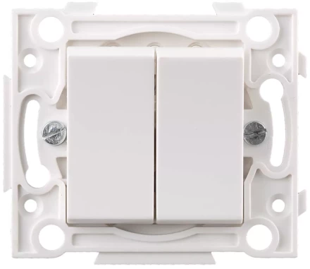Выключатель СВЕТОЗАР двойной SV-55230-2 купить в Сургуте
