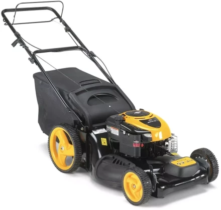 Бензиновая газонокосилка Partner P53-625DW купить в Сургуте