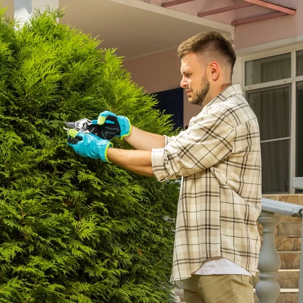 Секатор прямого реза Palisad, 205 мм, алюминиевые рукоятки в ПВХ-оболочке, Luxe 60463 купить в Сургуте