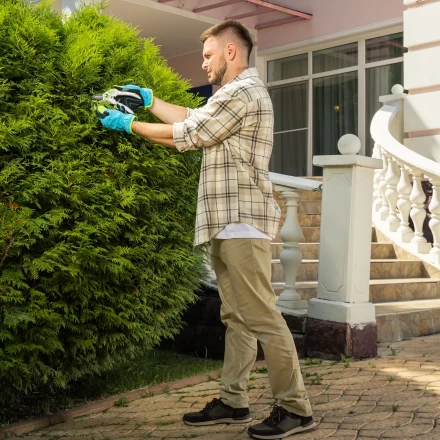 Секатор прямого реза Palisad, 210 мм, пластиковые рукоятки, 60466 купить в Сургуте