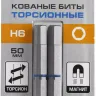 ЗУБР Hex 6, 50 мм, 2 шт, торсионные биты, Профессионал (26017-6-50-2) купить в Сургуте