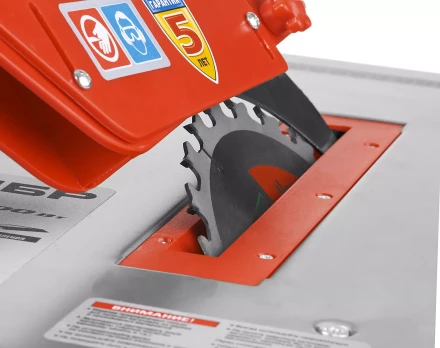 Станок распиловочный ЗПДС-200-800 серия МАСТЕР купить в Сургуте