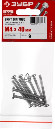 Винты DIN 7985 пакет серия МАСТЕР купить в Сургуте