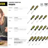 Набор STAYER "MASTER": Отвертки слесарные, двухкомпонентная рукоятка, магнитный наконечник, 2 / 6мм - 100мм, 2шт 2513-H2_z01 купить в Сургуте