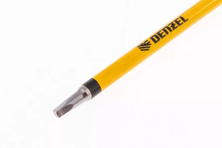 Бита S1x100 мм, 5 шт. Denzel 7711331 купить в Сургуте