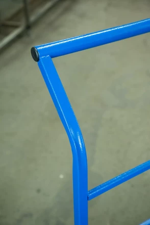 Тележка платформенная TOR ТП-2 (600х900) г/п 300 кг (125 мм) 1005794 купить в Сургуте