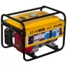 Бензиновый генератор STEM Techno SPG 3000 купить в Сургуте
