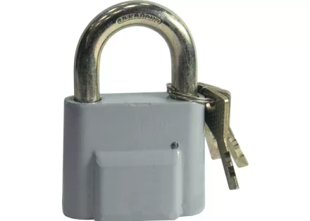 Замок навесной ЗН2-1-01 70 мм СИБРТЕХ 91631 купить в Сургуте