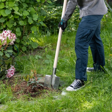 Лопата штыковая, нержавеющая сталь Сибртех, 200х265 мм, ребра жесткости, без черенка, Россия 614375 купить в Сургуте