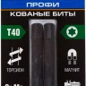 ЗУБР TX 40, 50 мм, 2 шт, ударные биты, Профессионал (26025-40-50-S2) купить в Сургуте