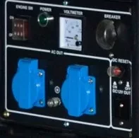 Генератор бензиновый CHAMPION GG3300 купить в Сургуте