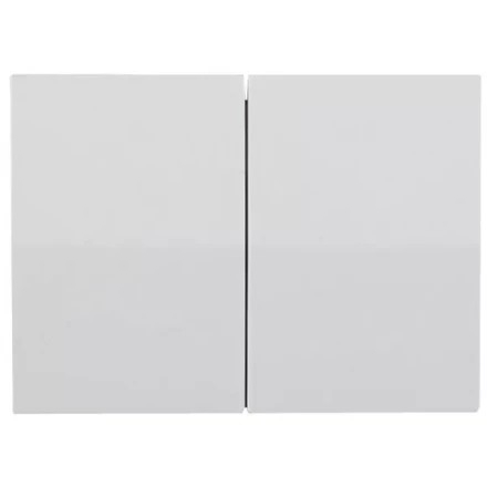 Выключатель СВЕТОЗАР &quot;ЭФФЕКТ&quot; двухклавишный, без вставки и рамки, цвет светло-серый металлик, 10A/~250B SV-54434-SM купить в Сургуте