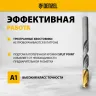 Набор сверл по металлу Denzel 723009, 1-13 мм, Р6М5-TiN, Golden Tip, 25 шт купить в Сургуте
